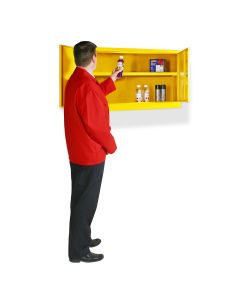 Elite Wall Mounted Flammable Cabinets