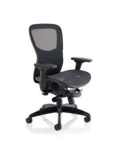 Stealth Shadow High Mesh Back Ergonomic Posture Chair with Arms